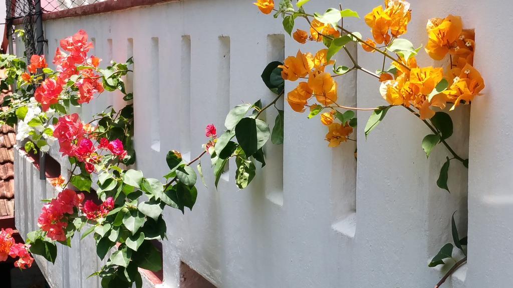 Desitha Family House Hotel Mirissa Exterior foto